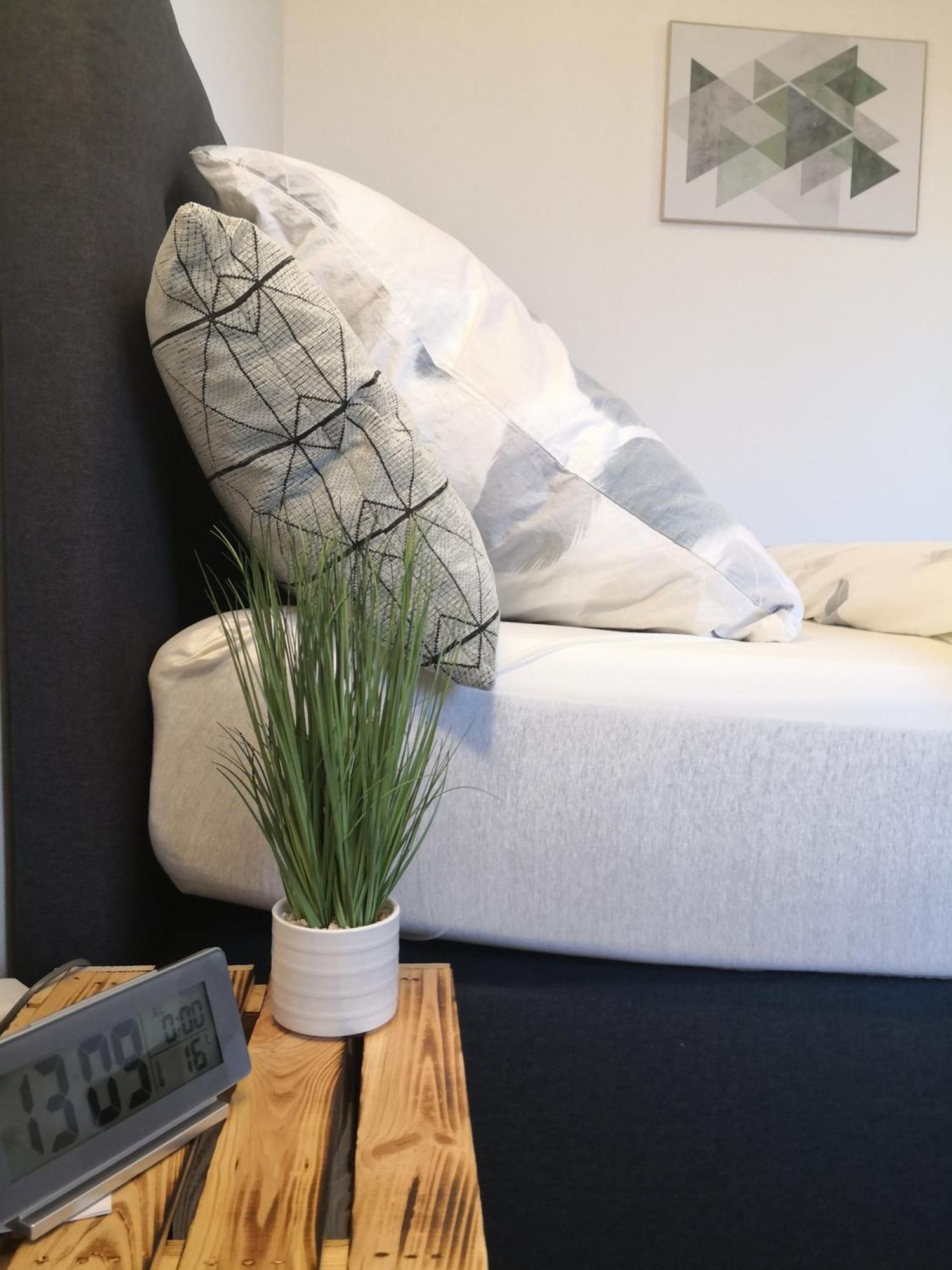 Exklusives Apartment Zw. Lu Und Speyer Mit Aufzug Neuhofen Exteriér fotografie